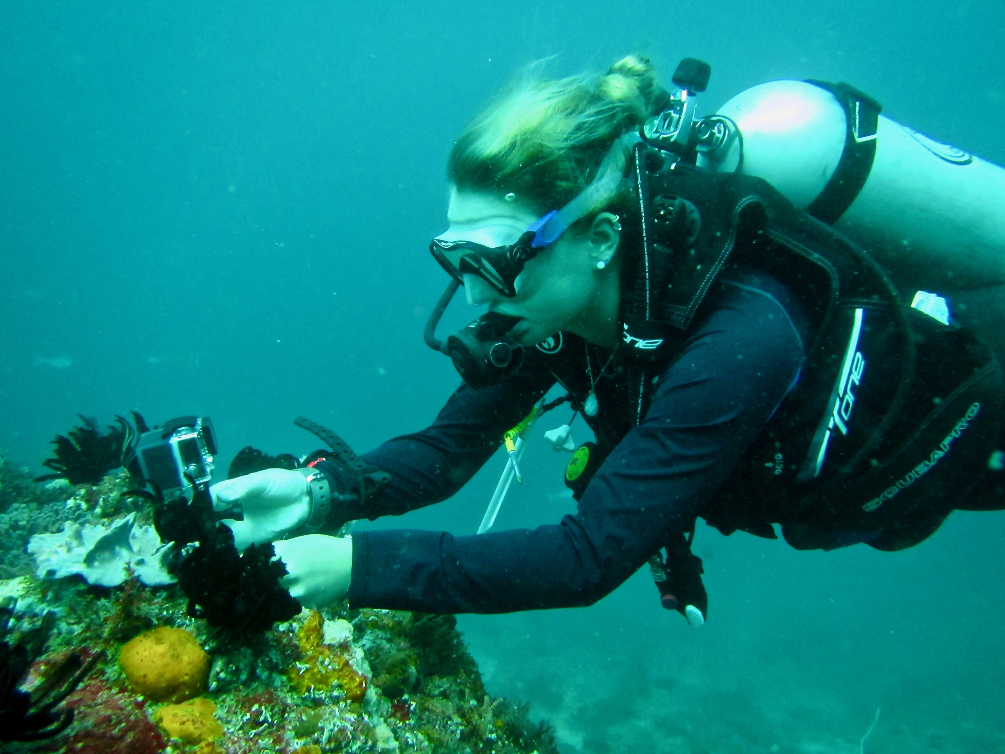 Student scuba diving in Indonesia